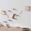 Cat Shelves Wall Mounted Cat Wall Shelves and Perches with Jumping Platforms Cat Beds Hammocks and Cat Tree