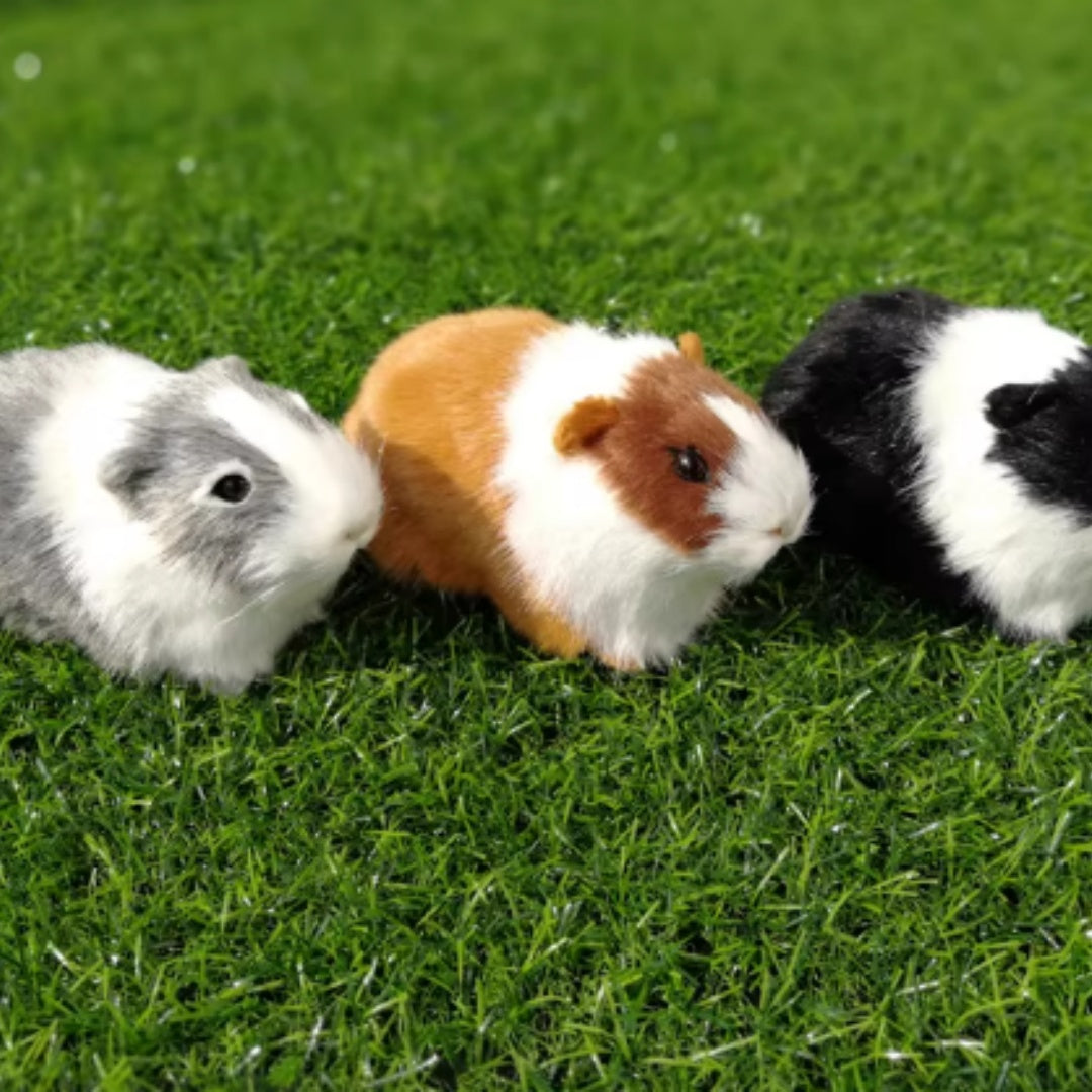 Simulated Guinea Pig, Cavy, Hamster, And Sunflower Rat