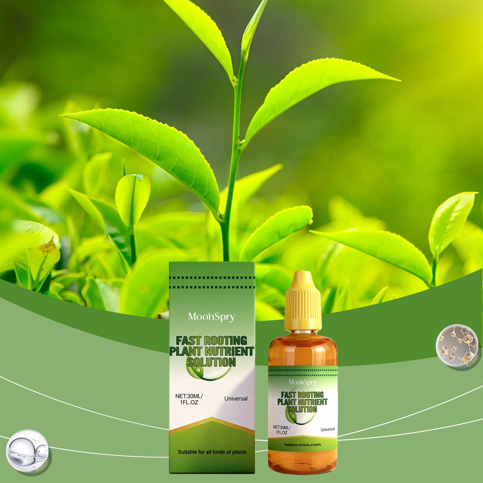 Rooting Plant Nutrient Solution