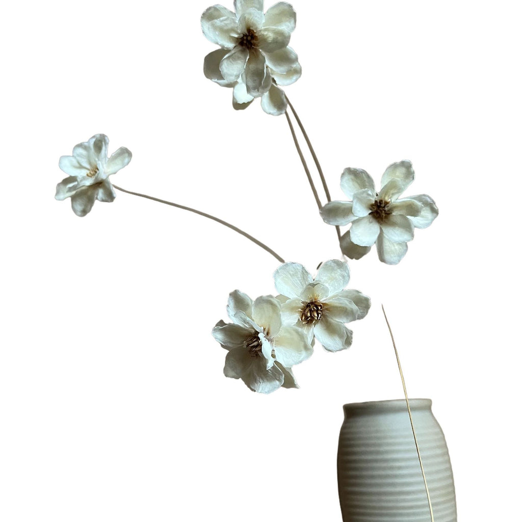 Eternal Silver Bell Flowers Dried Flowers For Valentines Day